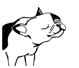Black-and-white French Bulldog sticker #8343160
