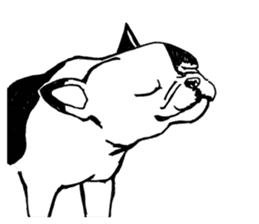 Black-and-white French Bulldog sticker #8343160