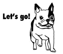 Black-and-white French Bulldog sticker #8343161