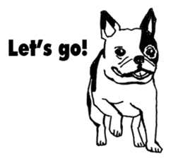 Black-and-white French Bulldog sticker #8343161