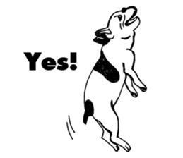 Black-and-white French Bulldog sticker #8343162