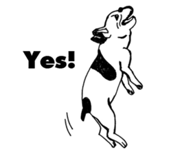 Black-and-white French Bulldog sticker #8343162