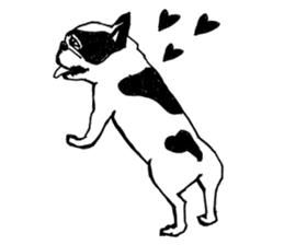 Black-and-white French Bulldog sticker #8343163