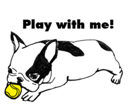 Black-and-white French Bulldog sticker #8343164