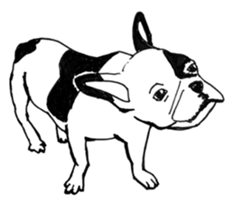 Black-and-white French Bulldog sticker #8343165