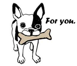 Black-and-white French Bulldog sticker #8343166