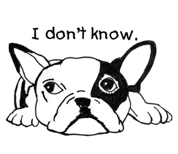 Black-and-white French Bulldog sticker #8343169
