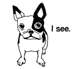 Black-and-white French Bulldog sticker #8343170
