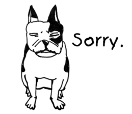 Black-and-white French Bulldog sticker #8343173