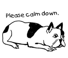 Black-and-white French Bulldog sticker #8343174