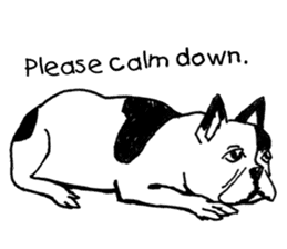 Black-and-white French Bulldog sticker #8343174