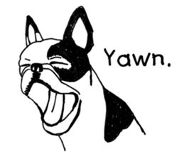 Black-and-white French Bulldog sticker #8343177