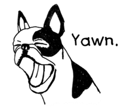 Black-and-white French Bulldog sticker #8343177