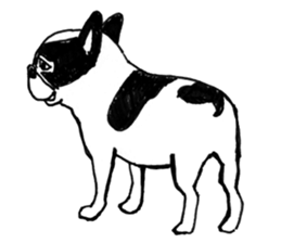 Black-and-white French Bulldog sticker #8343179