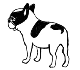 Black-and-white French Bulldog sticker #8343179