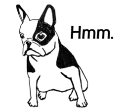 Black-and-white French Bulldog sticker #8343180