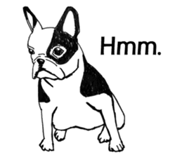 Black-and-white French Bulldog sticker #8343180
