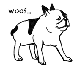 Black-and-white French Bulldog sticker #8343181