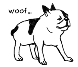 Black-and-white French Bulldog sticker #8343181