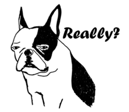 Black-and-white French Bulldog sticker #8343183