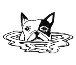 Black-and-white French Bulldog sticker #8343185