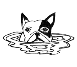 Black-and-white French Bulldog sticker #8343185