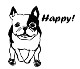 Black-and-white French Bulldog sticker #8343186