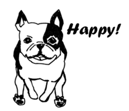 Black-and-white French Bulldog sticker #8343186