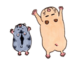 Friends of Kinkuma hamster Hamuhamu sticker #8343348