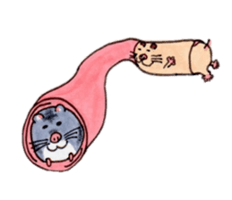 Friends of Kinkuma hamster Hamuhamu sticker #8343351
