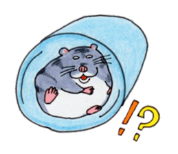 Friends of Kinkuma hamster Hamuhamu sticker #8343365