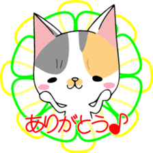 KONOHA of kitten sticker #8345820