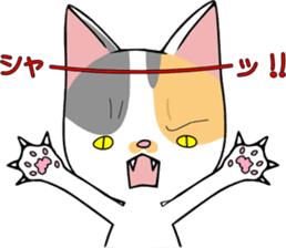 KONOHA of kitten sticker #8345841