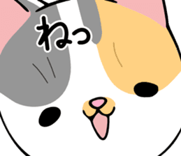 KONOHA of kitten sticker #8345848
