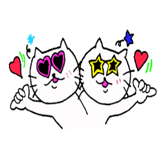 The interesting and cute cat 4