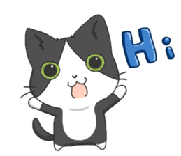 Purring cat daily sticker #8348420