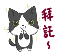 Purring cat daily sticker #8348422