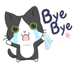 Purring cat daily sticker #8348423