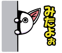 cats and more sticker #8348558