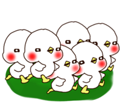 Rabbit Bear Bird and Chick sticker #8349056