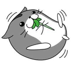 Hamster Wonder sticker #8349782