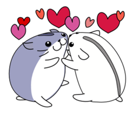 Hamster Wonder sticker #8349797