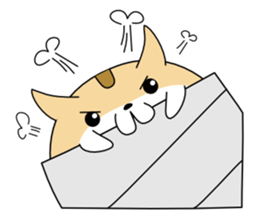 Hamster Wonder sticker #8349802