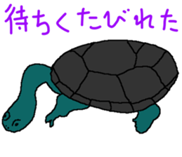 turtle guide sticker #8350061