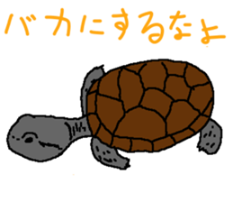 turtle guide sticker #8350062