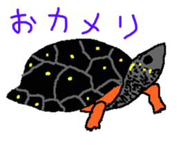 turtle guide sticker #8350065