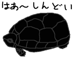 turtle guide sticker #8350066