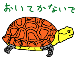 turtle guide sticker #8350068