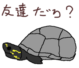 turtle guide sticker #8350072