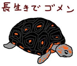 turtle guide sticker #8350074